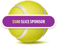 00500Slice