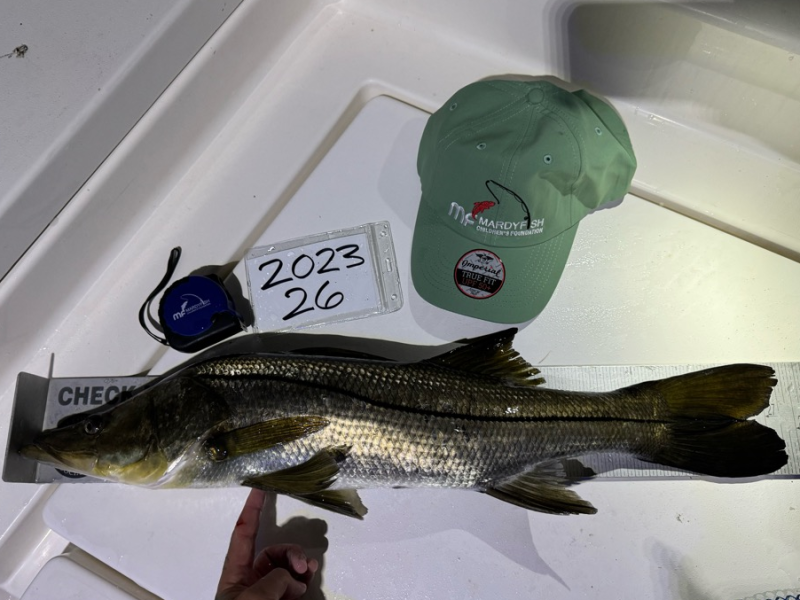 mfcf fish tourn 26 snook